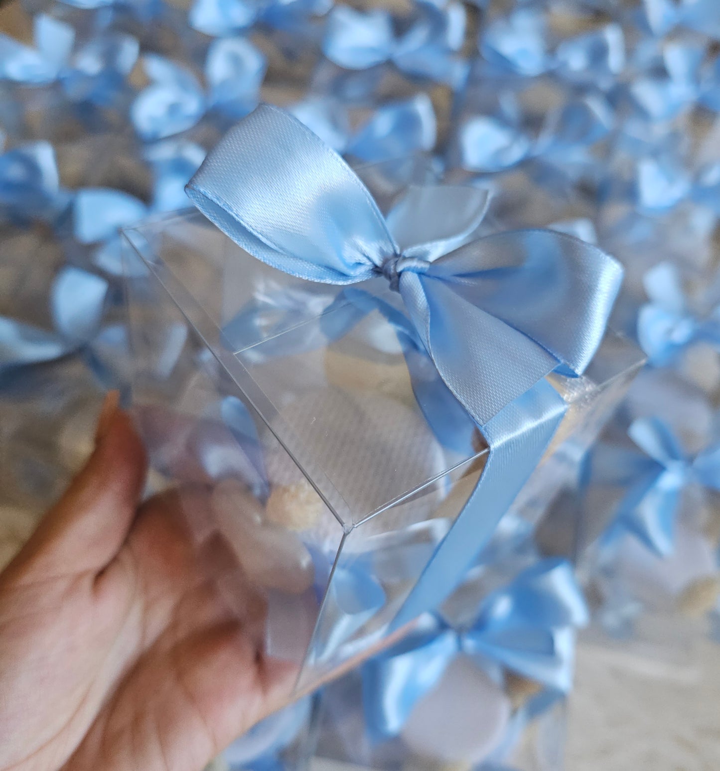 Caixa transparente c/ pote mel 30g+ mini concha íman com dezena