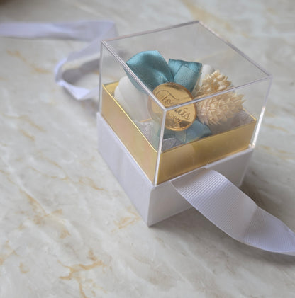 Mini concha de gesso perfumado Premium 🤍