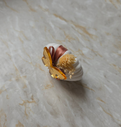 Mini concha em gesso perfumado 🦋